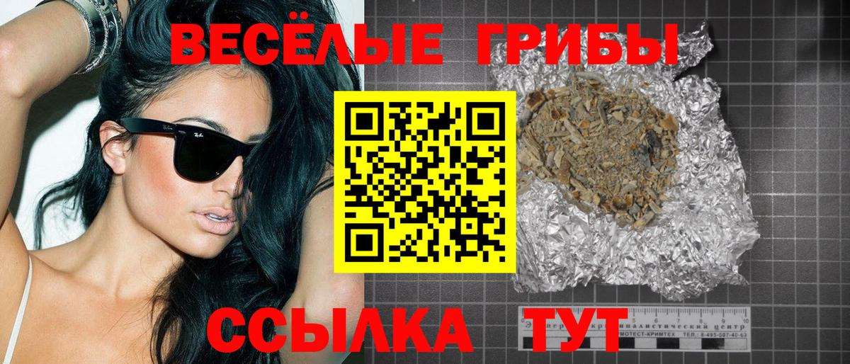 дарнет шоп  Псилоцибиновые грибы MAGIC MUSHROOMS  Вход с VPN  Тавда  Псилоцибиновые грибы мицелий 